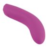 111909-1.jpg Nmc 5 Inch Silicone 10 Function Vibrator Pink