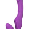 21505.jpg Essentials Double Dipper Purple