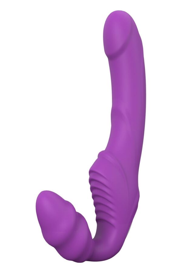 21505.jpg Essentials Double Dipper Purple