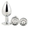 Gleaming Love Silver Plug Set