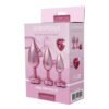 Gleaming Love Pearl Plug Set
