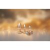 Gleaming Love Pearl Plug Set