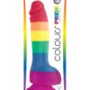 Colours Pride Edition 6 Inch Dong