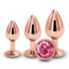 Rear Assets Trainer Kit Rose Gold Pink