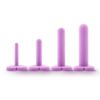 Wellness Dilator Kit Purple
