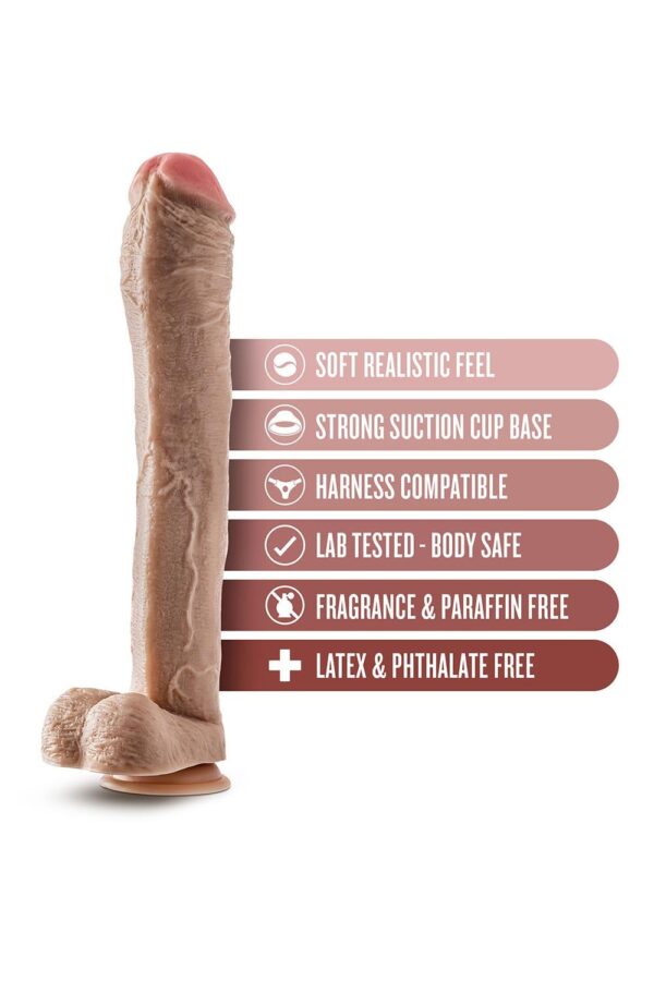 331947-2.jpg Dr. Skin Mr. Ed 13 Inch Dildo With Balls Beige