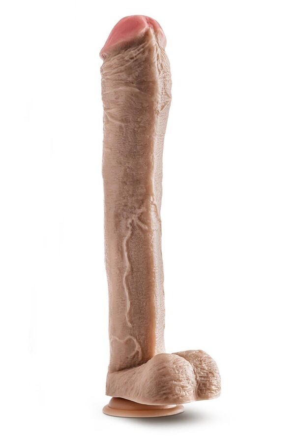 331947.jpg Dr. Skin Mr. Ed 13 Inch Dildo With Balls Beige