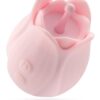 332106-1.jpg Play With Me Romantic Rose Pink