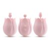 332106-3.jpg Play With Me Romantic Rose Pink