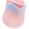 Blush Collection Kissing Rose Pink