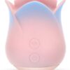Blush Collection Kissing Rose Pink