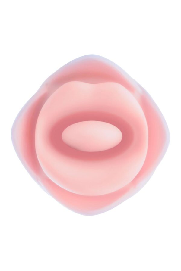 Blush Collection Kissing Rose Pink