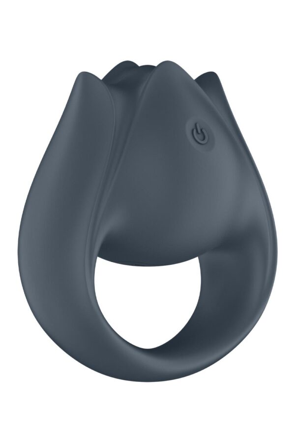 Satisfyer Perfect Pair 2