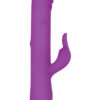 Evolved Dancing Pearl Rabbit Purple