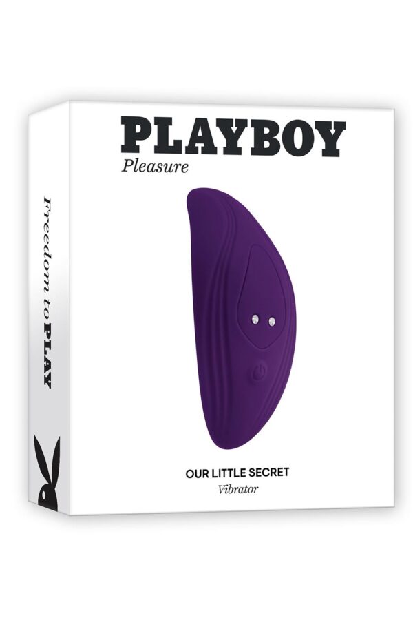840800-P.jpg Playboy Our Little Secret