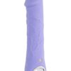 Evolved Purple Fantasy