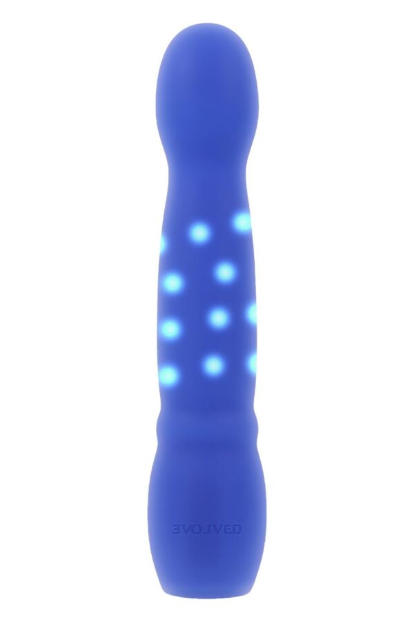 841288.jpg Evolved Disco Diva