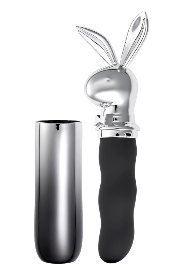 Playboy Bunny On The Go