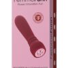 Femmefunn Booster Bullet Maroon
